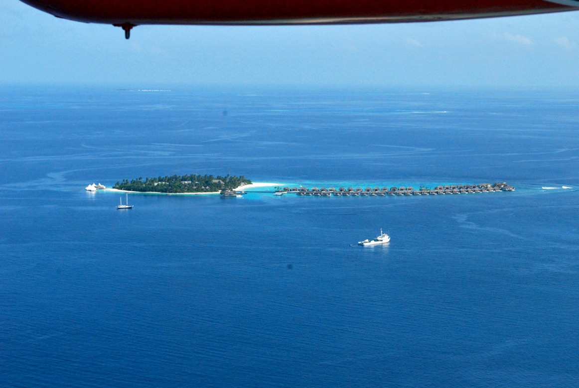 DSC_4941.JPG