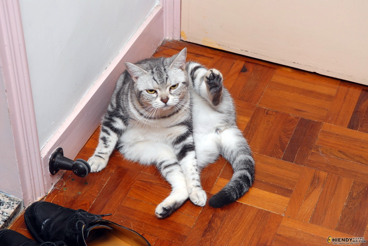 DSC_1368.JPG