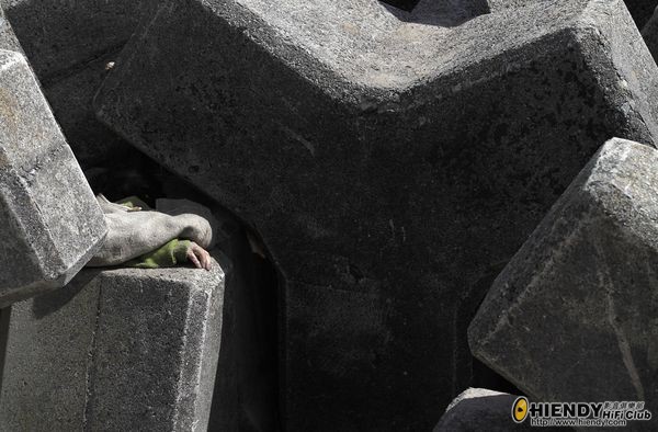 japan-earthquake-tsunami-nuclear-unforgettable-pictures-hand_33281_600x450.jpg