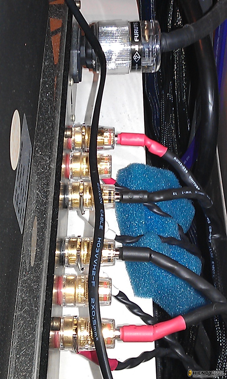 IMAG0341.jpg