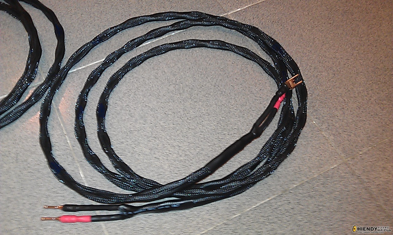 IMAG0337.jpg