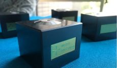 Weizhi Precison Glory 石墨墊　—　拳拳到肉
